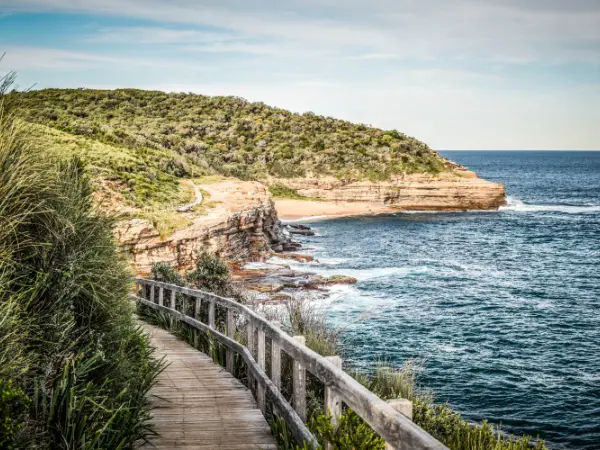 Adelaide to New South Wales removalists for interstate removals, backloading options and long-distance moving support