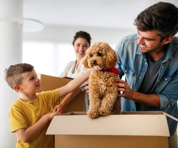 Moving interstate with pets from Adelaide