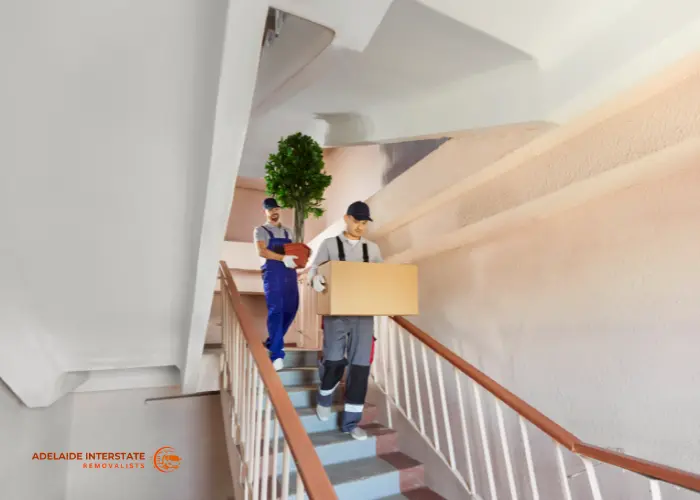 Backloading vs dedicated truck options for Sydney to Adelaide removals